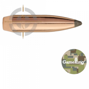 Sierra GameKing 1920 Geschoss